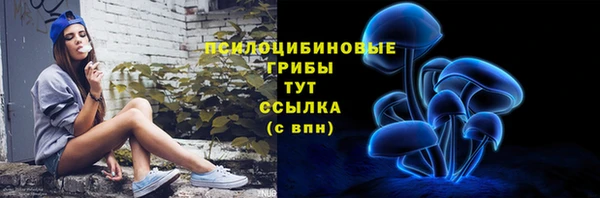 Альфа ПВП Баксан