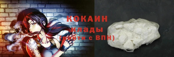 шишки Аркадак