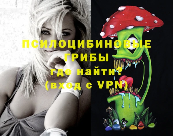 apvp Балабаново