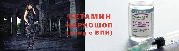 шишки Аркадак