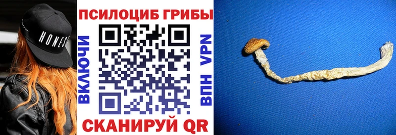Псилоцибиновые грибы Cubensis Иланский