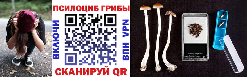 Галлюциногенные грибы мицелий  Иланский 